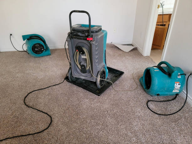 Best Water damage restoration company  in Waynesboro, PA