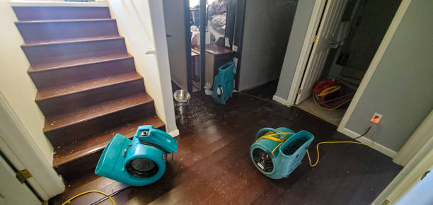 Best Water damage restoration near me  in Waynesboro, PA