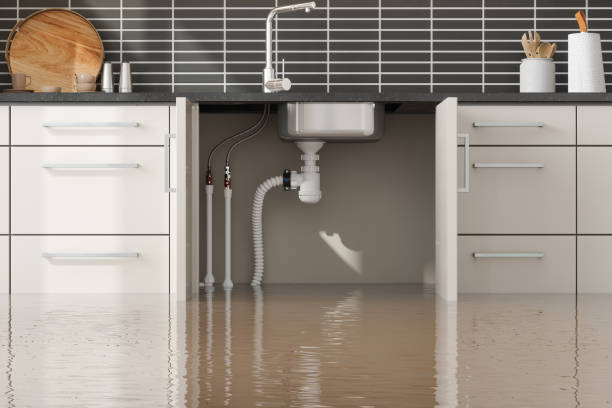 Best Water damage restoration near me  in Waynesboro, PA
