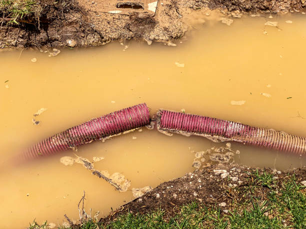 Best Water damage contractors near me  in Waynesboro, PA