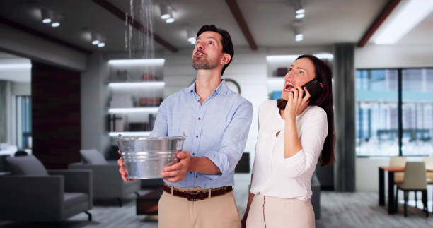 Best Flood damage cleanup  in Waynesboro, PA